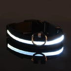 Illuminate Your Dog's Night Walks with Our Nylon LED Glow-in-the-Dark Dog Leash and Collar