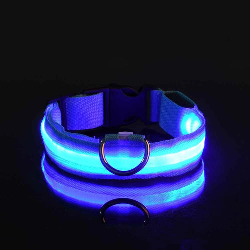 Illuminate Your Dog's Night Walks with Our Nylon LED Glow-in-the-Dark Dog Leash and Collar