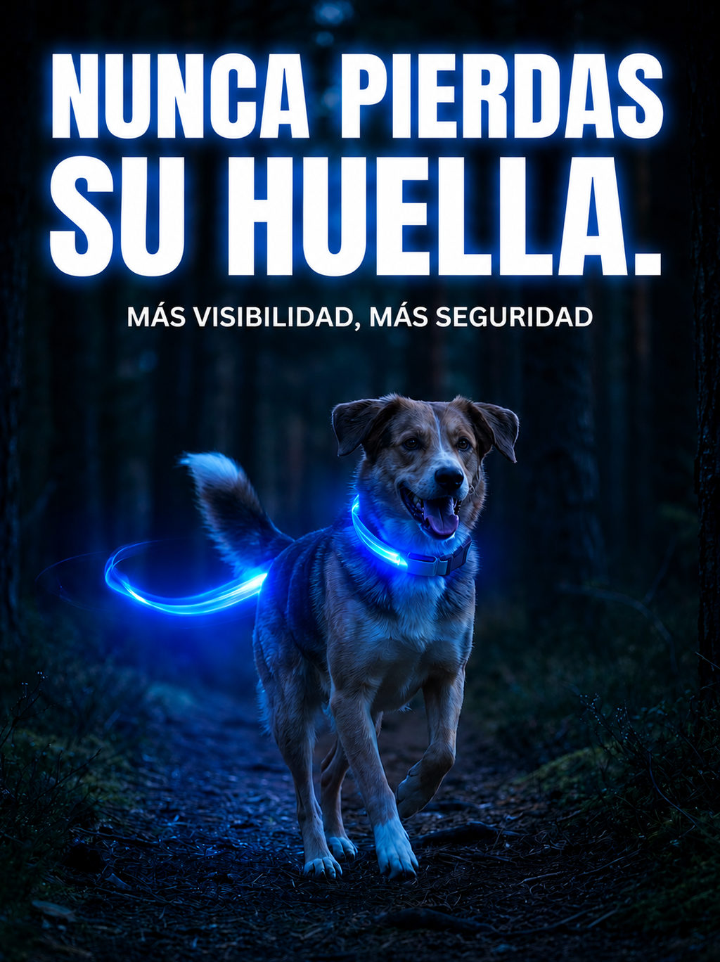 Collar luminoso