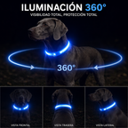 Collar luminoso