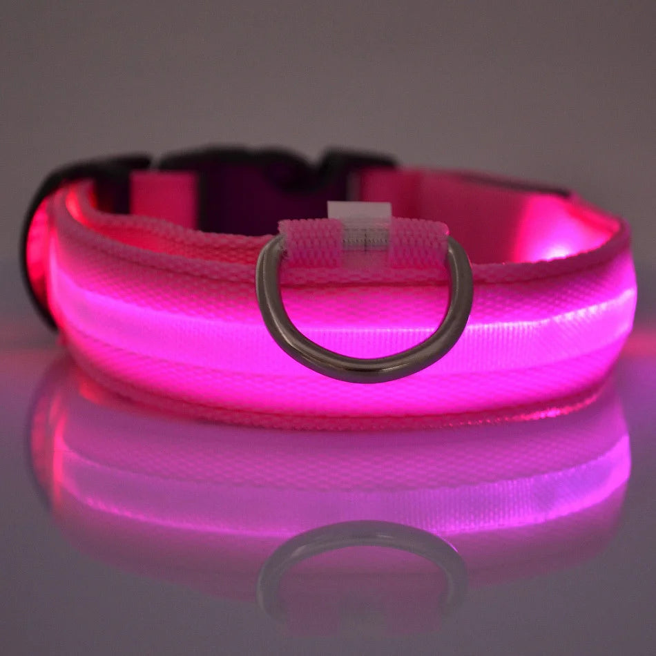 Illuminate Your Dog's Night Walks with Our Nylon LED Glow-in-the-Dark Dog Leash and Collar