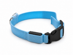 Collar luminoso