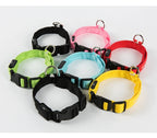 Collar luminoso
