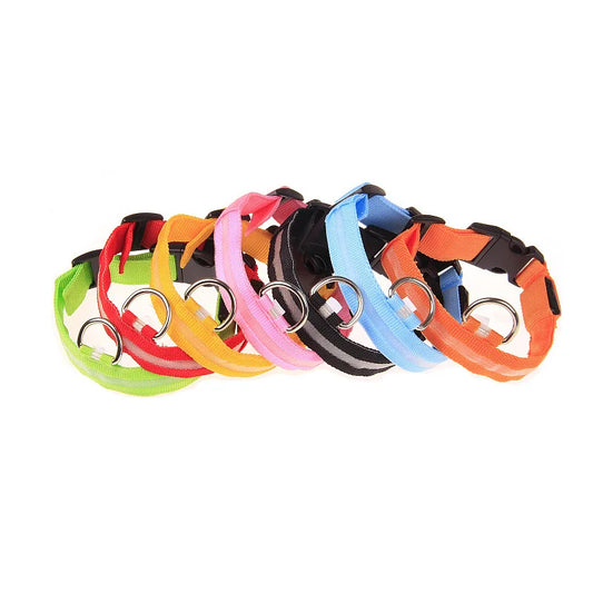 Collar luminoso